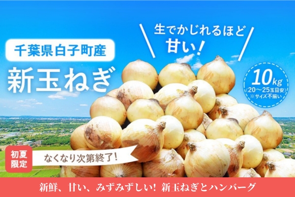 千葉県白子町の新玉ねぎ＆ハンバーグ